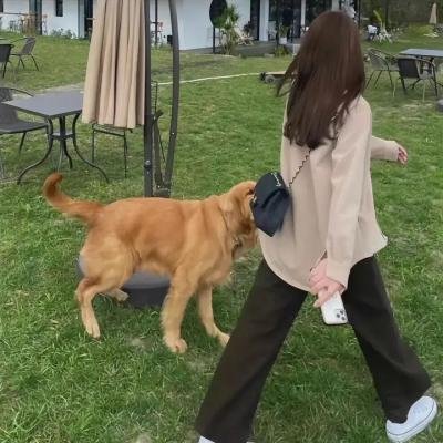 无赖汉